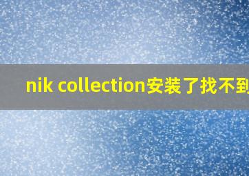 nik collection安装了找不到